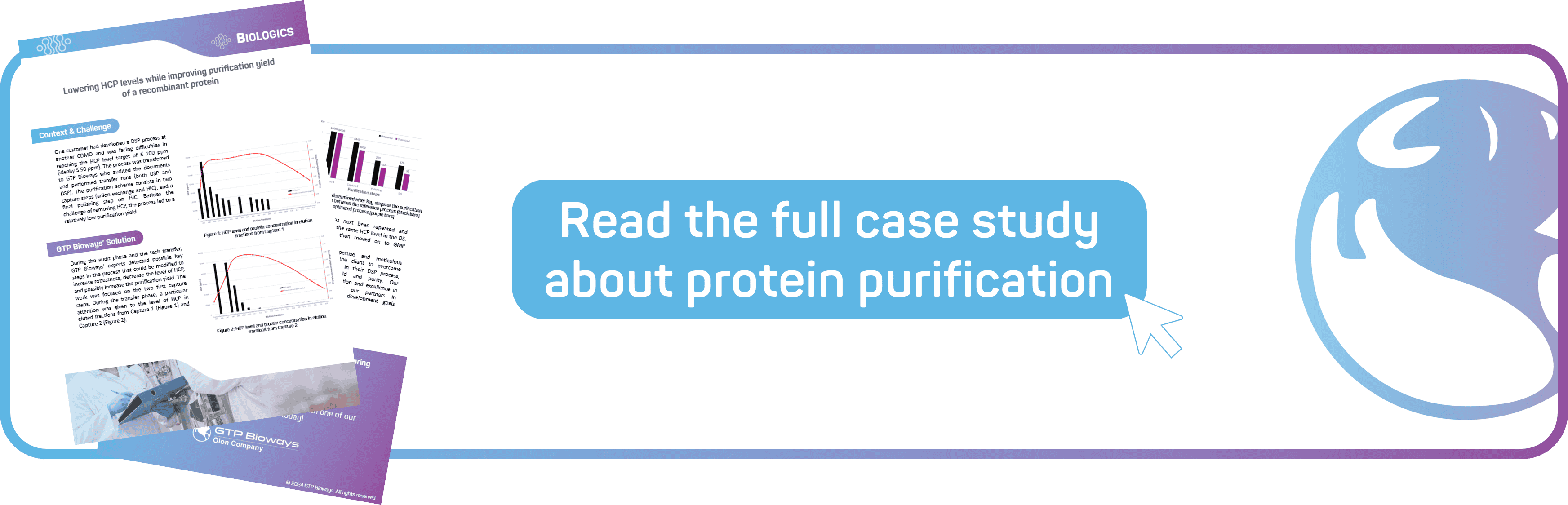 Effective Strategies for Host Cell Protein Purification